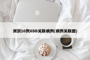 测到16例XBB关联病例(病例关联图)