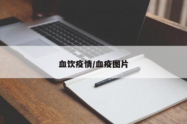 血饮疫情/血疫图片