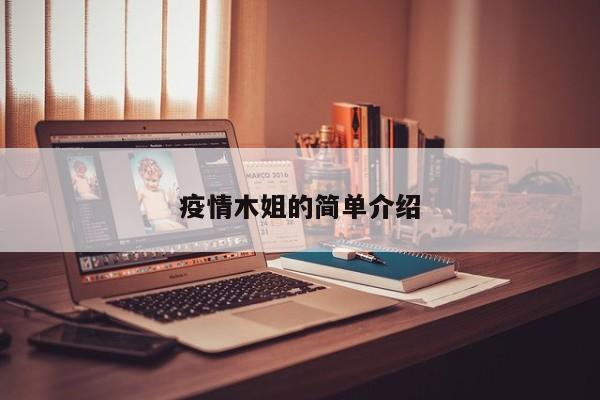 疫情木姐的简单介绍