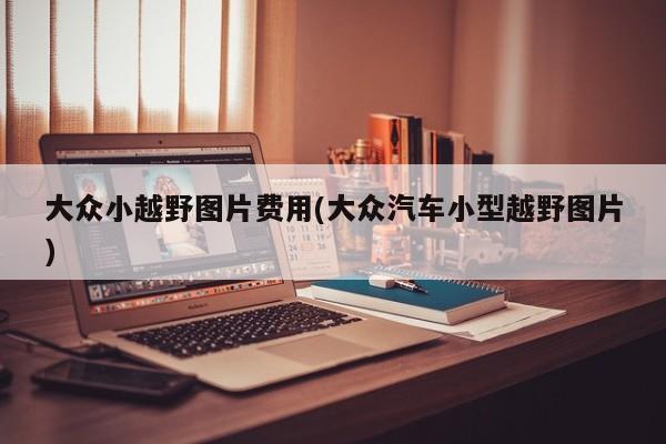 大众小越野图片费用(大众汽车小型越野图片)