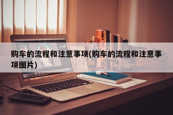 购车的流程和注意事项(购车的流程和注意事项图片)