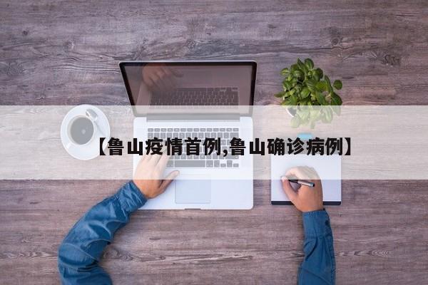 【鲁山疫情首例,鲁山确诊病例】