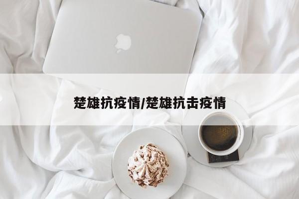楚雄抗疫情/楚雄抗击疫情
