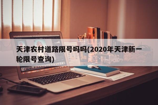 天津农村道路限号吗吗(2020年天津新一轮限号查询)