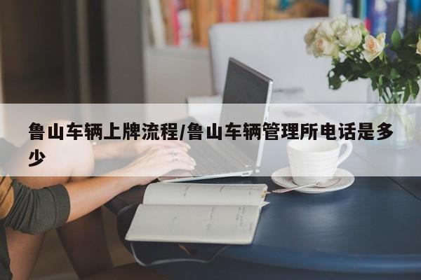 鲁山车辆上牌流程/鲁山车辆管理所电话是多少